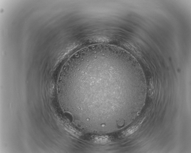 X0000060770355200511141303