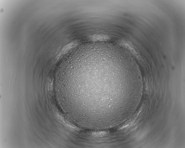 X0000060770357200511141303