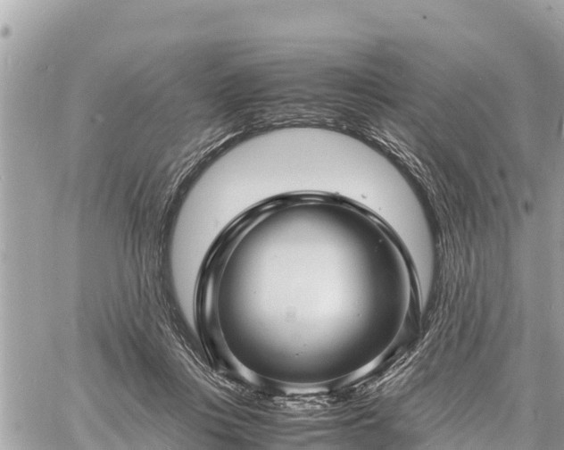 X0000060770359200511141303