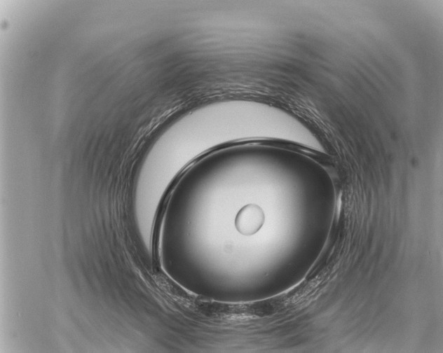 X0000060770360200511141303