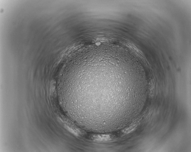 X0000060770361200511141303