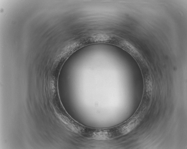 X0000060770362200511141303