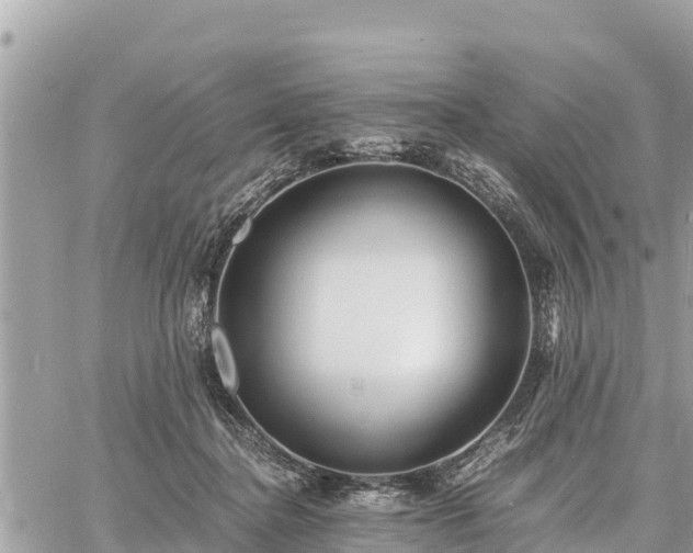 X0000060770364200511141303