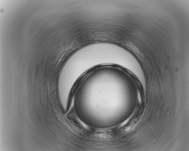 X0000060770365200511141303