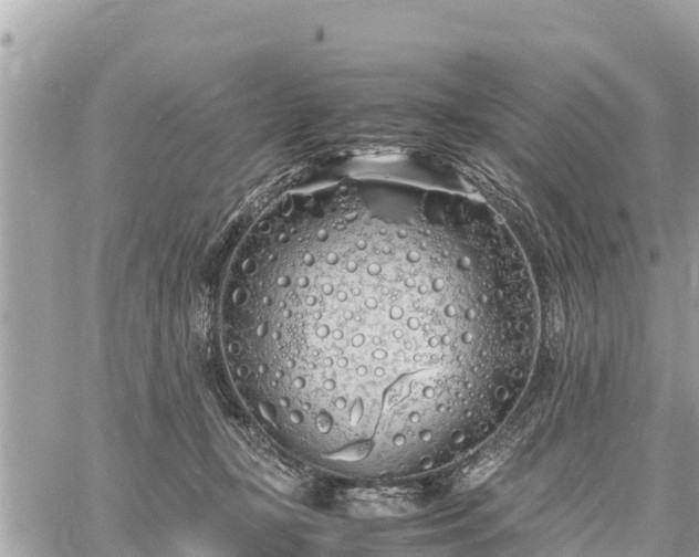 X0000060770367200511141303