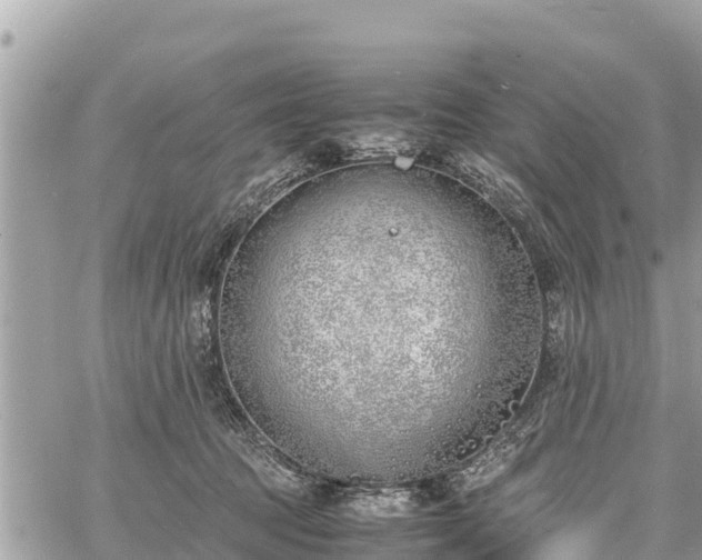 X0000060770369200511141303