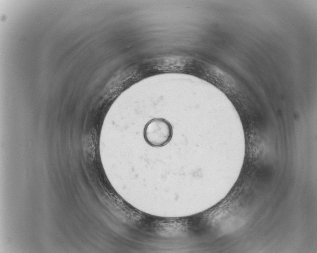 X0000060770370200511141303