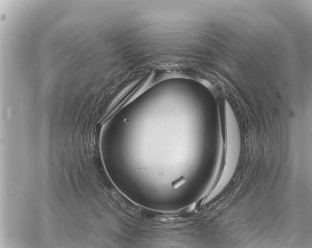 X0000060770372200511141303