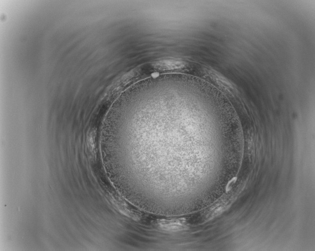 X0000060770373200511141303