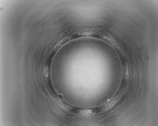 X0000060770374200511141303