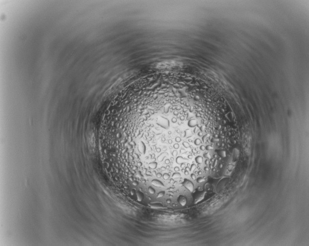 X0000060770375200511141303