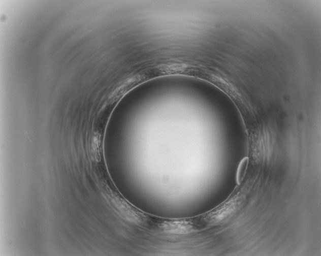 X0000060770378200511141303