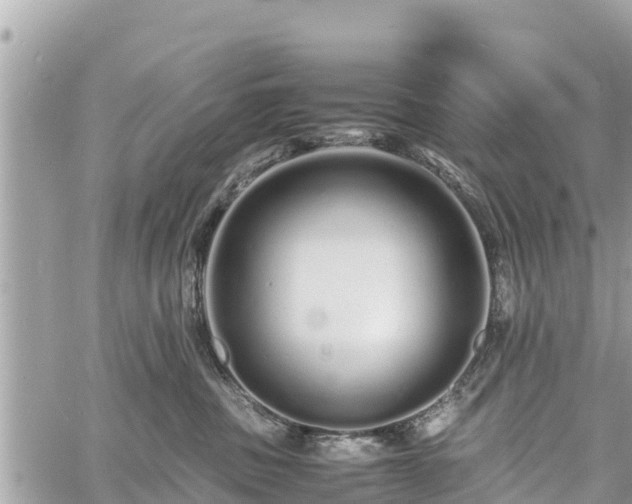 X0000060770379200511141303