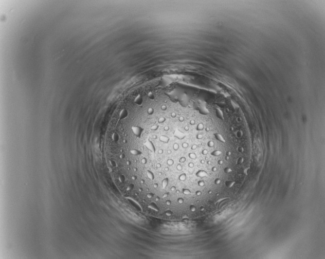 X0000060770381200511141304