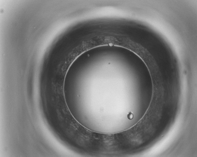 X0000060770382200511141304