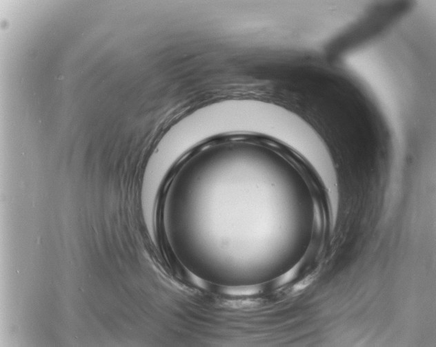 X0000060770383200511141304