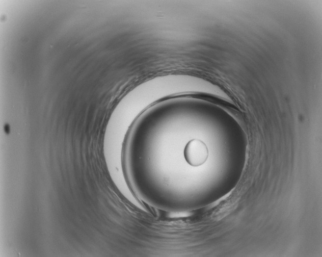 X0000060770384200511141304