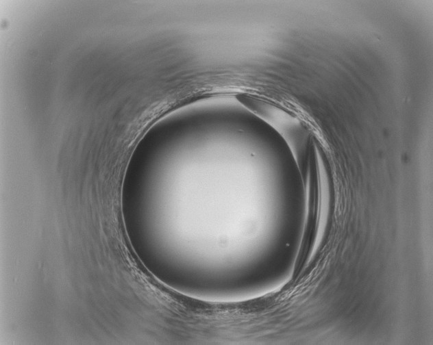 X0000060770385200511141303