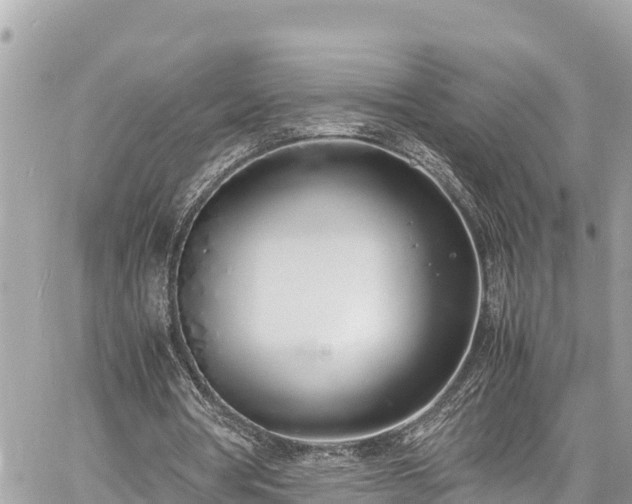 X0000060770386200511141303