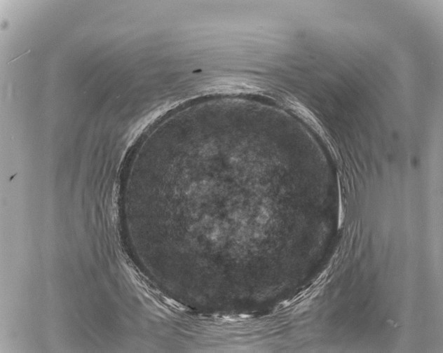 X0000060770387200511141303