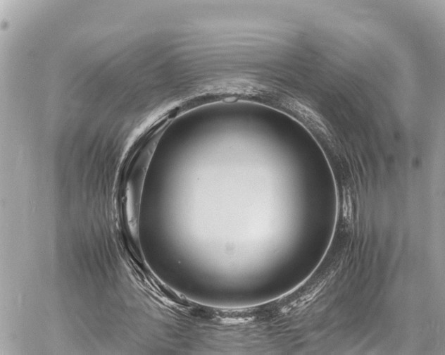 X0000060770388200511141303