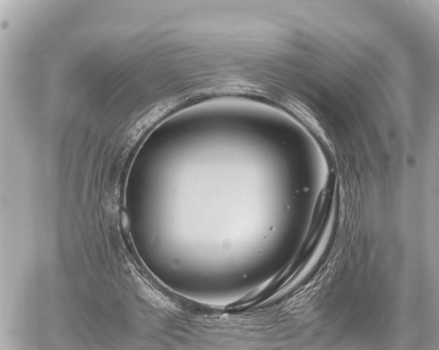 X0000060770389200511141303