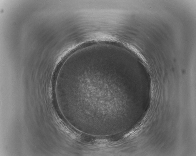 X0000060770391200511141303