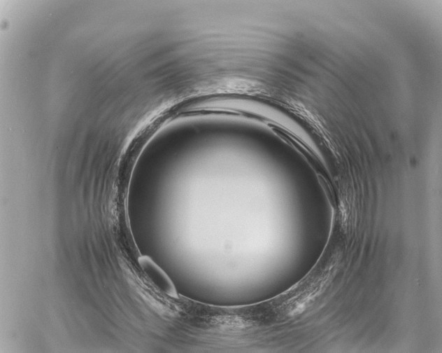 X0000060770392200511141303