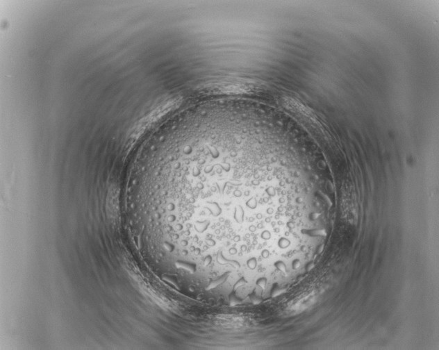 X0000060770394200511141303