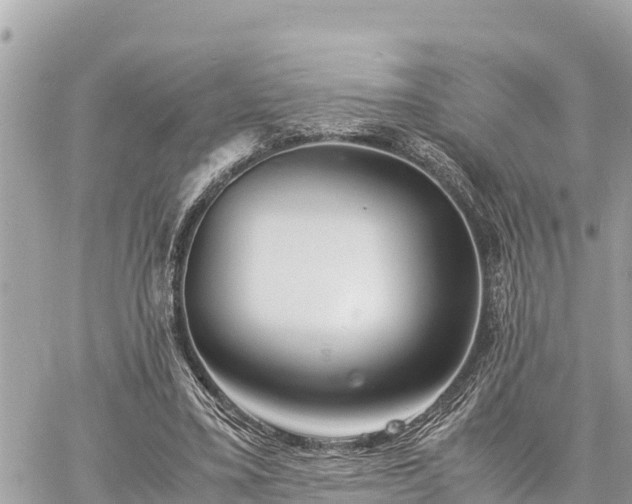 X0000060770395200511141303