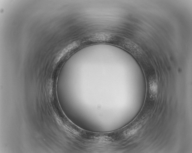 X0000060770396200511141303