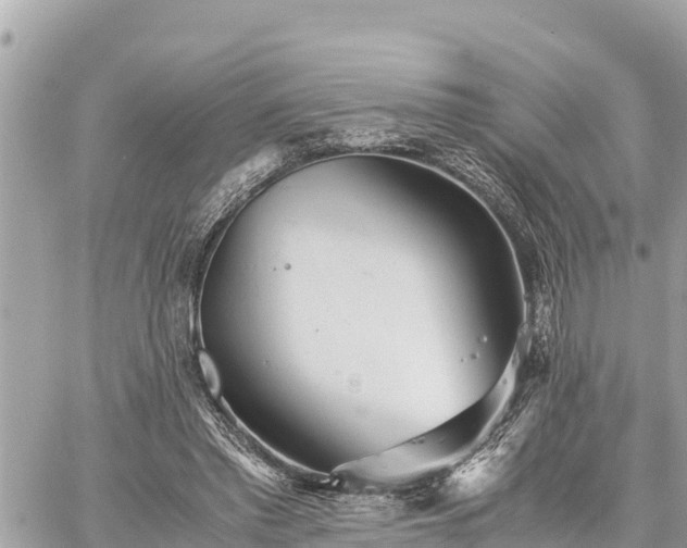 X0000060770397200511141303