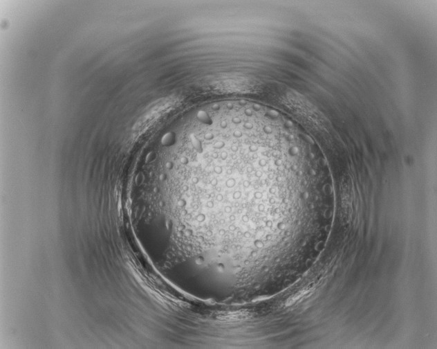 X0000060770398200511141303