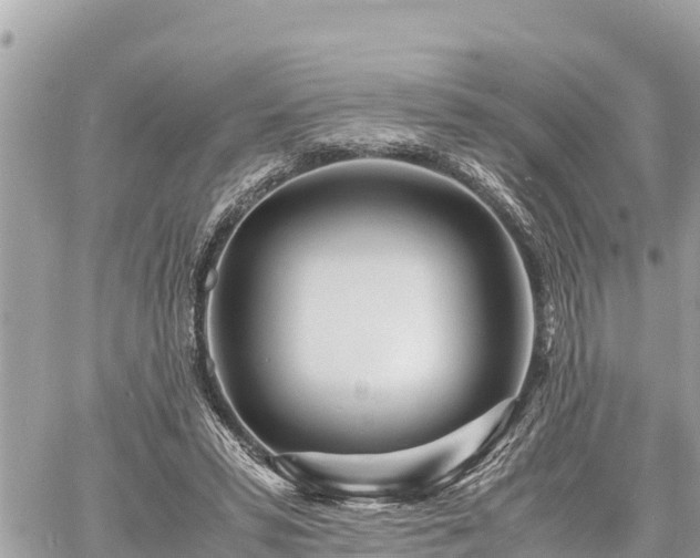 X0000060770399200511141302