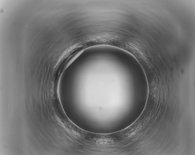 X0000060770400200511141302