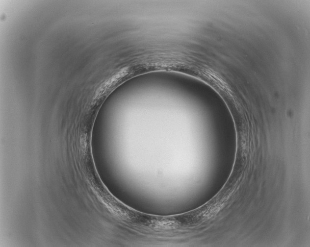 X0000060770401200511141302