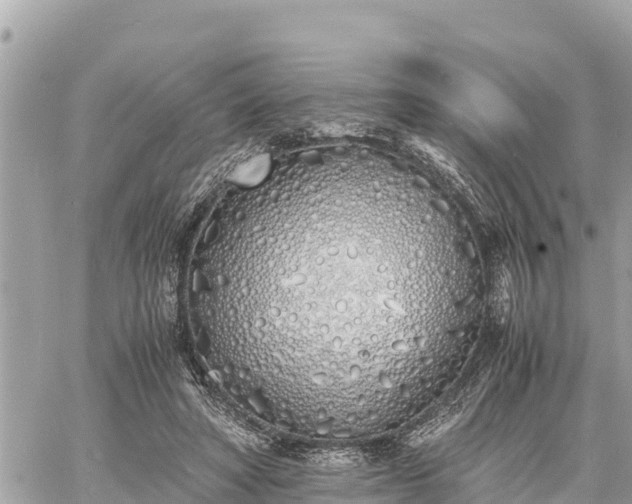 X0000060770402200511141302