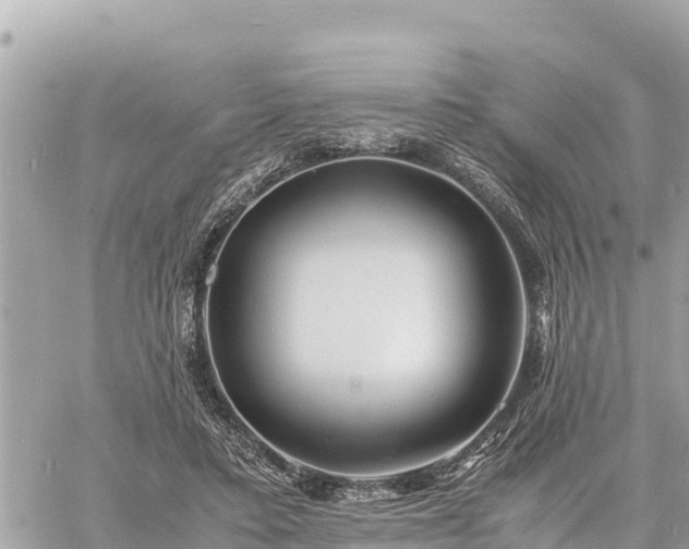 X0000060770403200511141302