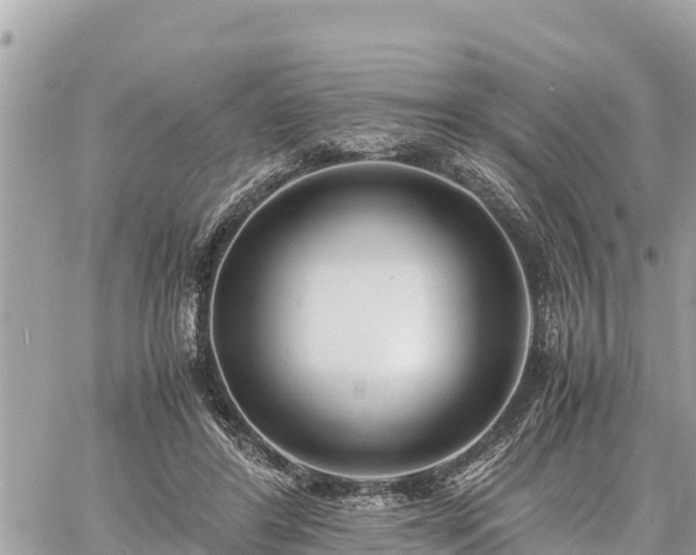 X0000060770404200511141302