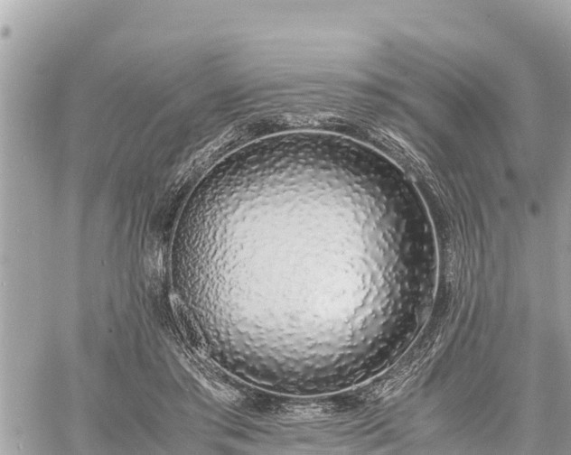 X0000060770405200511141302