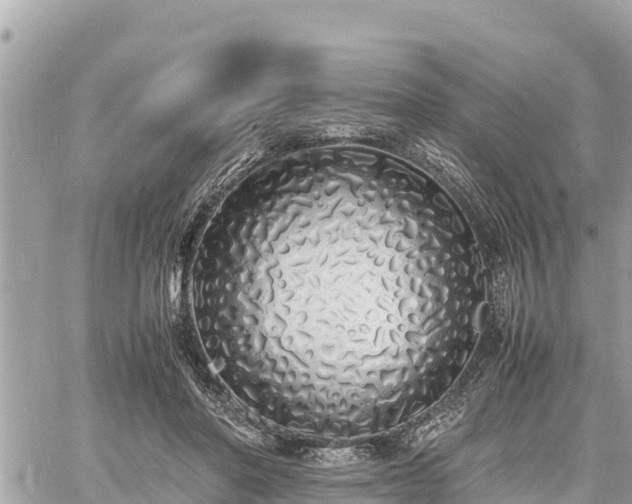 X0000060770406200511141302