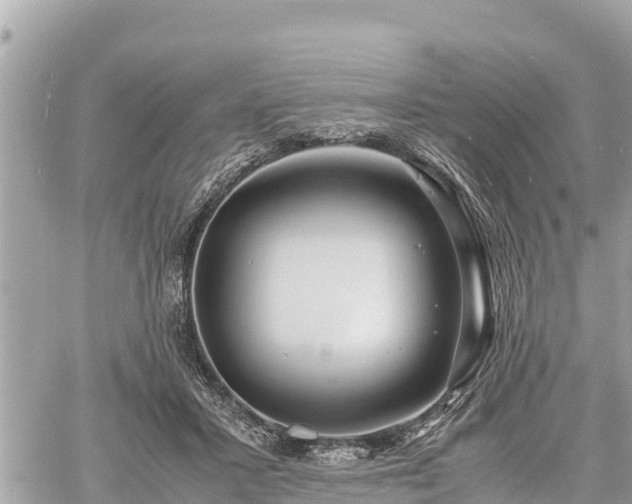 X0000060770407200511141302