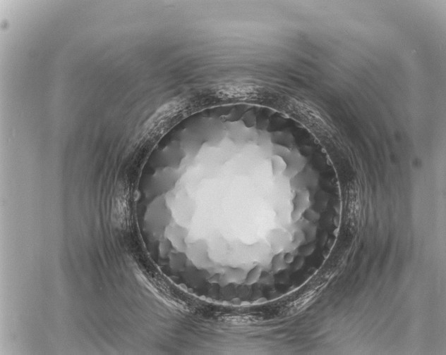 X0000060770408200511141302