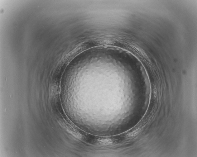 X0000060770409200511141302