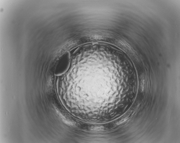 X0000060770410200511141302