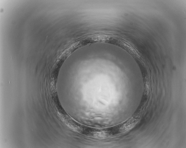 X0000060770411200511141302