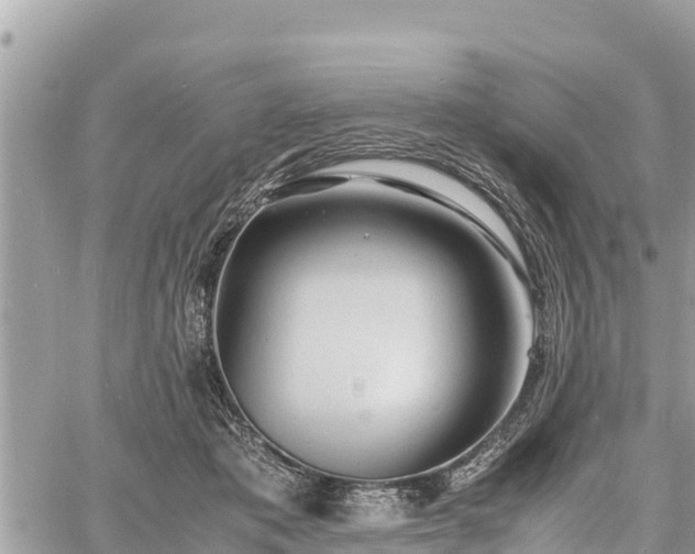 X0000060770413200511141302