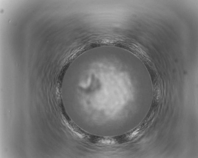 X0000060770415200511141302