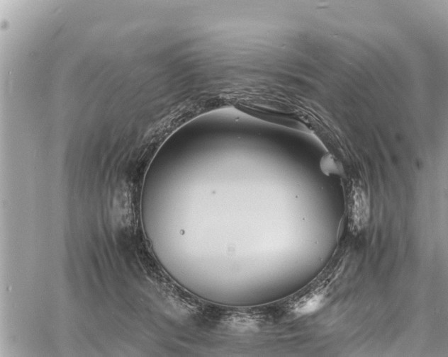 X0000060770416200511141302