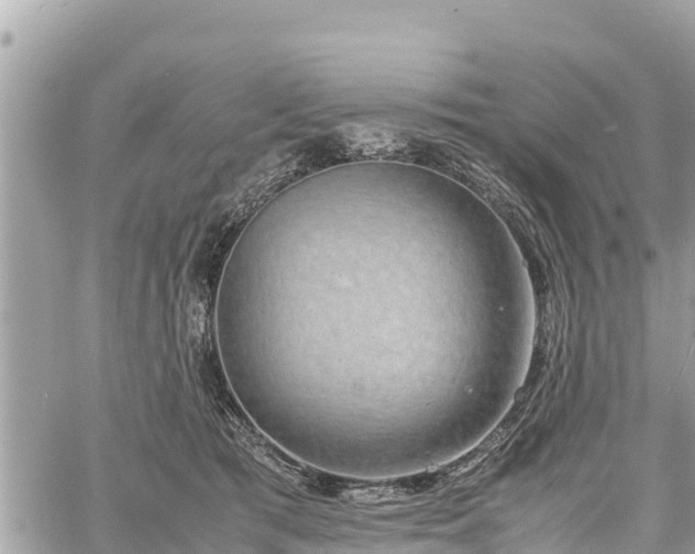 X0000060770417200511141302